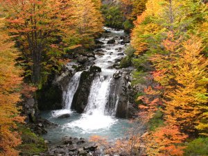 A typical waterfall in autumn