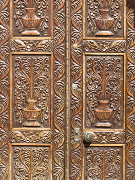 Sophisticated door carvings