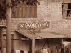 Mosquito in Corico - WEEELLLLCOMMMEEE!!! :D