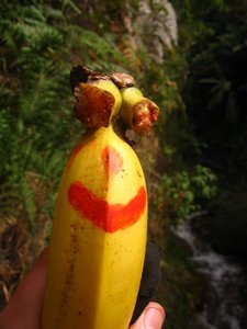 made myself a banana-"mr. wilson"