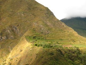 coca field on the steep hills