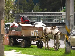 Waste collection system with horses - in order not to pollute the air......