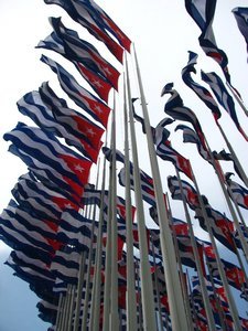 A wood of 138 cuban flags...