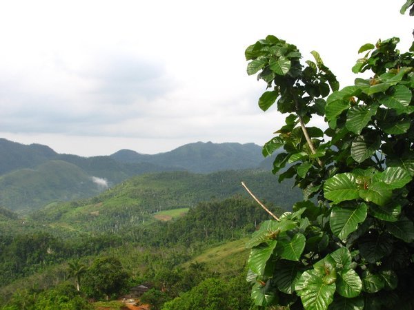 Pinar del Rio Province Landscape