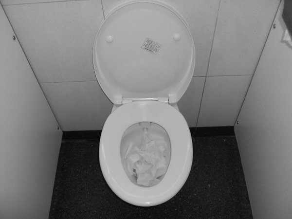Toiletpaper into the toilet!! - Strike! :)