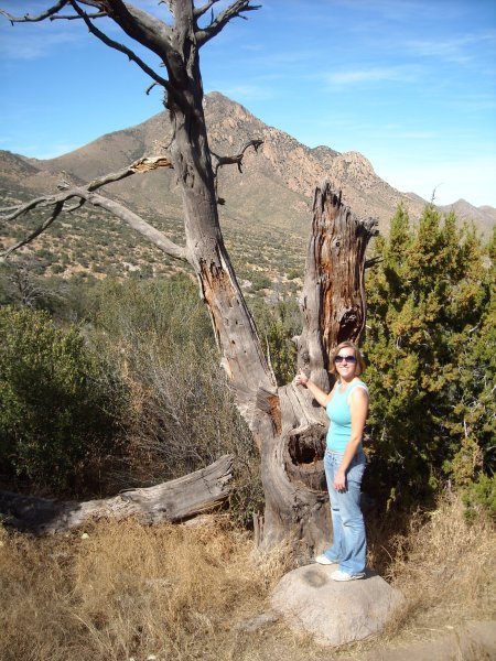 Liz and tree in Aguirre Springs, New Mexico