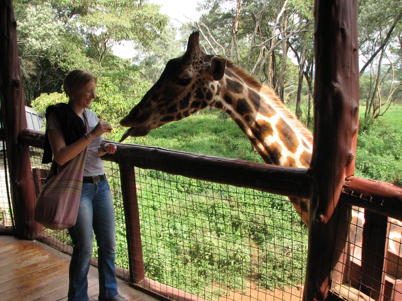 Educational Giraffe Centre, Kenya