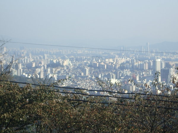 Gyeongbokgung & Seoul Skyway