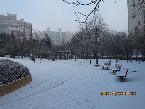 Incheon Snow