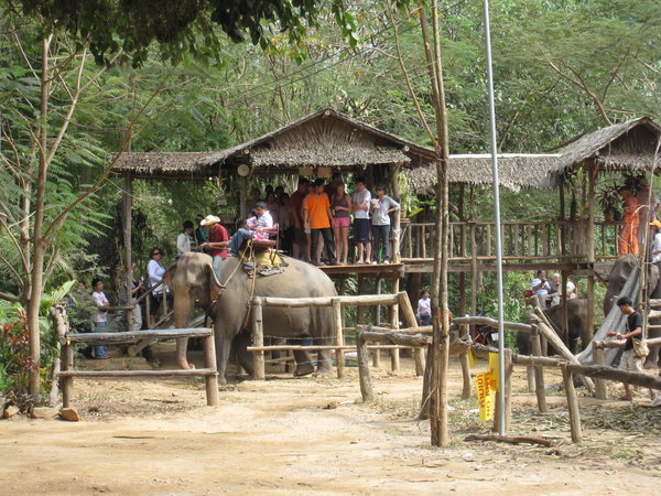 Saiyok Elephant Park