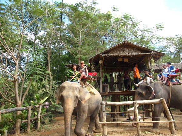 Saiyok Elephant Park