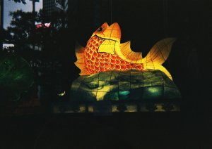 Lantern Floats