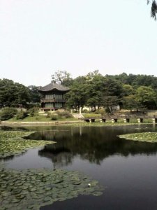 Gyeongbokgung Pogoda