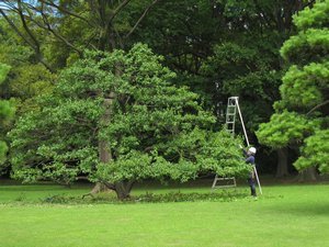 Hana Rikyu Gardens