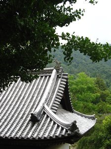5 story Pagoda - view 
