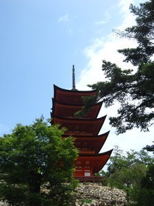 5 Story Pogoda