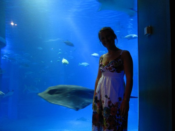 Osaka Aquarium