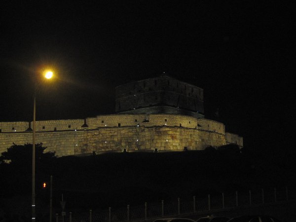 Suwon Fortress by night