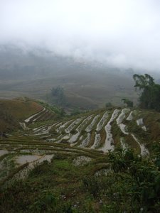 Stunning terraced rice paddies