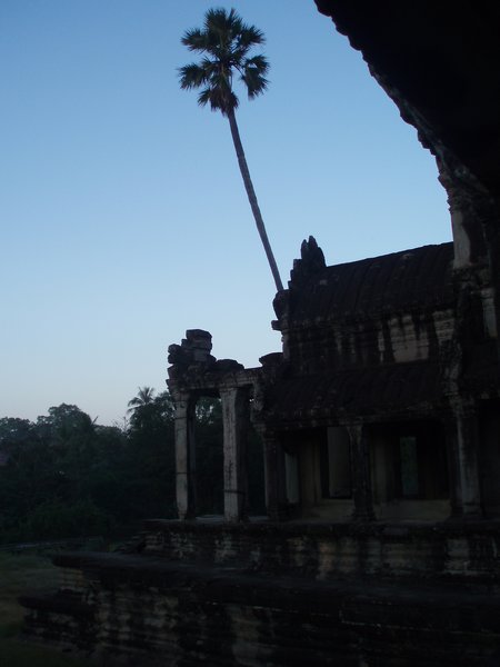 Early Morning at Angkor Wot