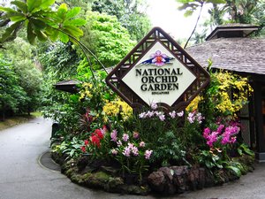 The National Orchid Garden