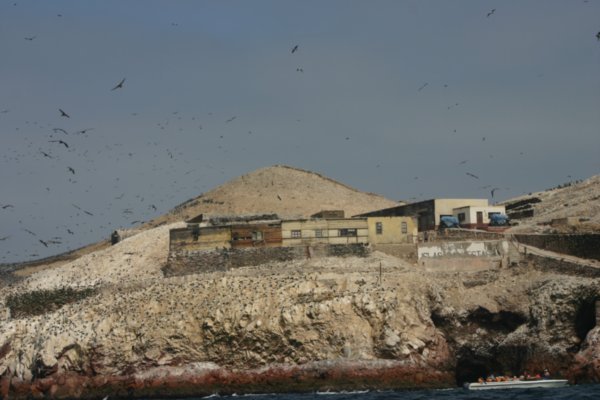 Ballestas Island, workers house!