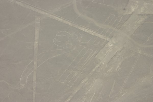 Nazca lines