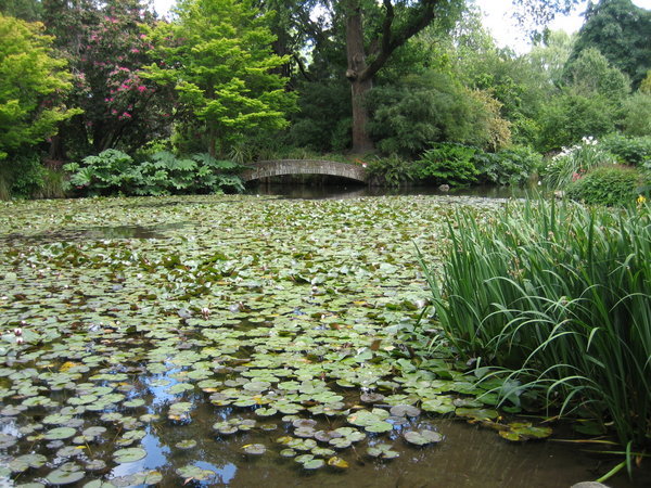 Christchurch botanical gardens