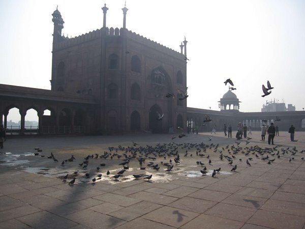 Jama Masjid Mosque - Delhi