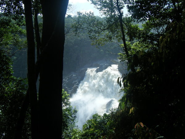 Australian rainforest waterfall
