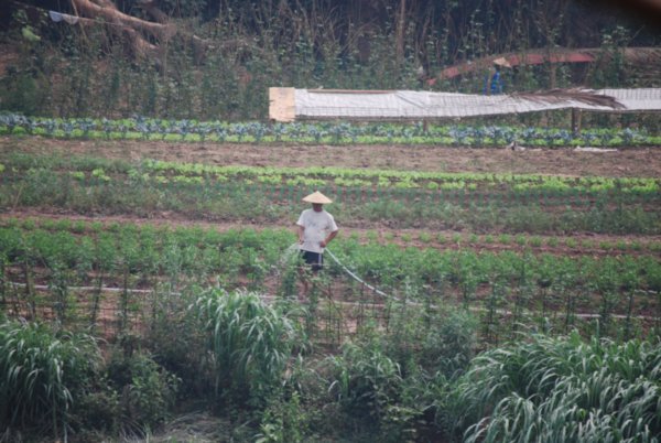 Farmer on the Nam Kan River