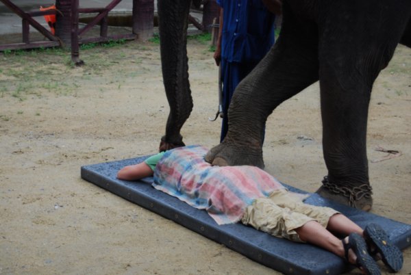 Elephant Massage