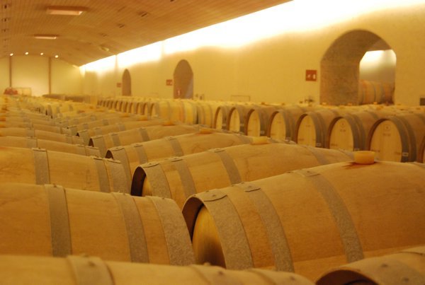 One of the Wine Cellars
