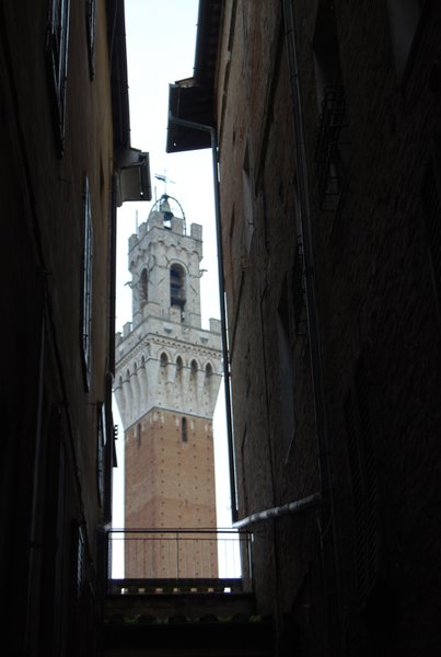 The Tower of Il Campo