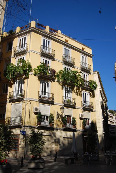 Window Boxes