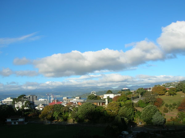 Wellington From A Hill top