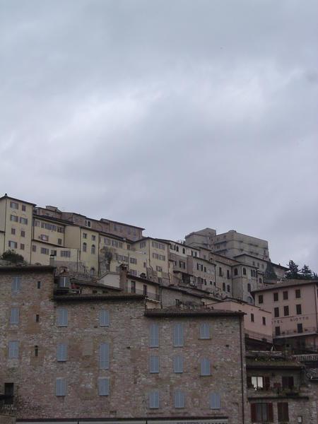 Assisi looking a bit brown and grey