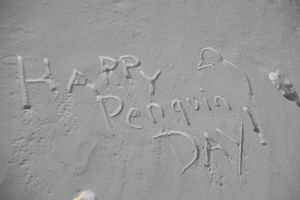 happy penguin day!