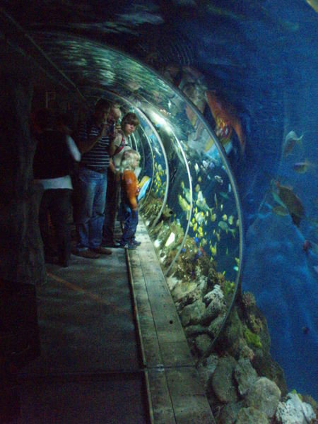 Speyerin sealife-akvaarion haiputki