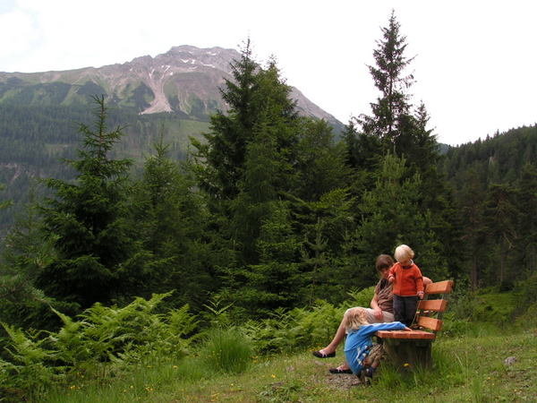 Tirolilaisessa metsässä on levähdyspenkki näköalapaikalla