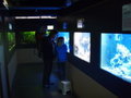 Albstadtin akvaario Albaquarium oli pieni ja mielenkiintoinen