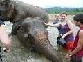 Fiona and I happily bathe elephants