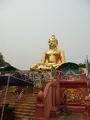 Big golden buddha for the Golden Triangle