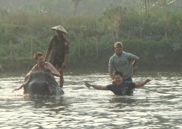 washing elephants in the river