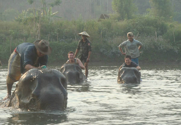 washing elephants in the river 2