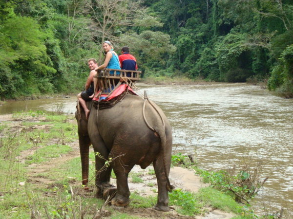 Elephant Trekking !