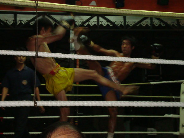Muay Thai boxing