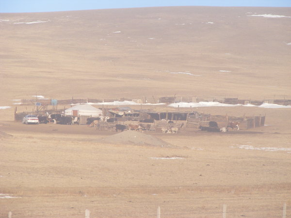 Mongolian Farm