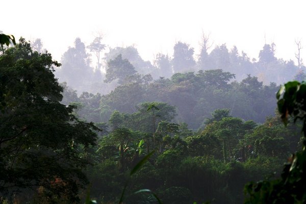 Kutai National Park