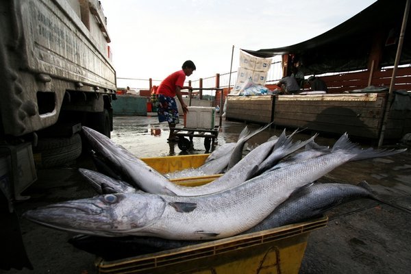 Vismarkt van Kota Kinabalu